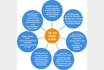 Flow chart of 22q Center at Nationwide Children's Hospital
