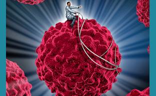 Harnessing the Immune System